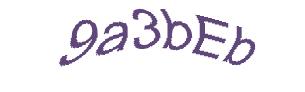 عبارت امنیتی