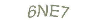 عبارت امنیتی