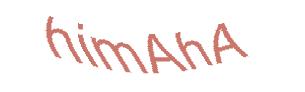 عبارت امنیتی