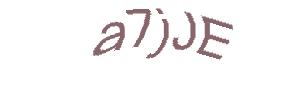 عبارت امنیتی