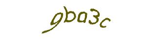 عبارت امنیتی