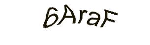 عبارت امنیتی