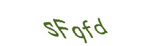 عبارت امنیتی