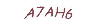عبارت امنیتی