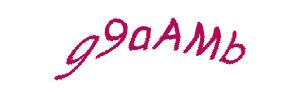 عبارت امنیتی