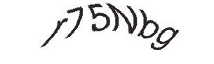عبارت امنیتی