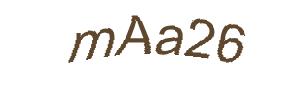 عبارت امنیتی