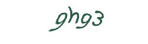 عبارت امنیتی