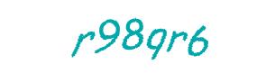 عبارت امنیتی