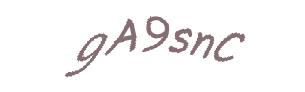 عبارت امنیتی