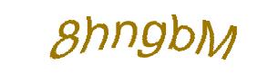 عبارت امنیتی