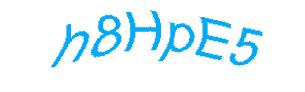 عبارت امنیتی