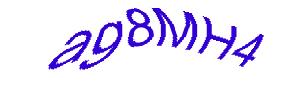 عبارت امنیتی
