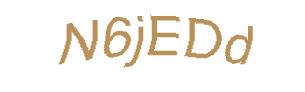 عبارت امنیتی