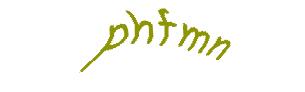 عبارت امنیتی