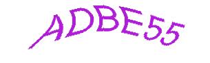 عبارت امنیتی