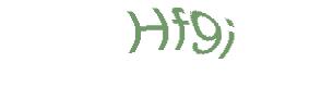 عبارت امنیتی