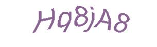 عبارت امنیتی