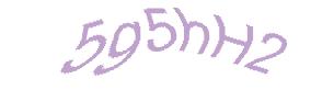 عبارت امنیتی