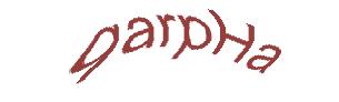 عبارت امنیتی