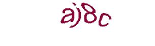 عبارت امنیتی