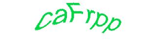عبارت امنیتی