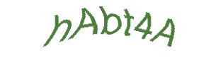 عبارت امنیتی