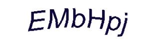 عبارت امنیتی