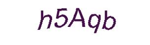 عبارت امنیتی
