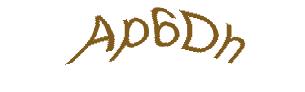 عبارت امنیتی