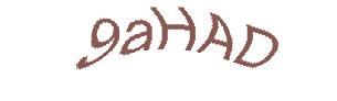 عبارت امنیتی