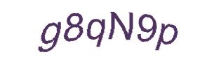 عبارت امنیتی