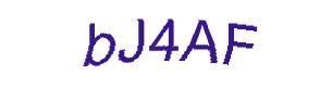 عبارت امنیتی