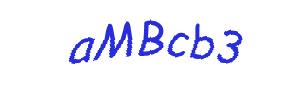 عبارت امنیتی