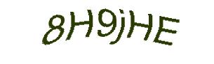 عبارت امنیتی