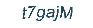 عبارت امنیتی