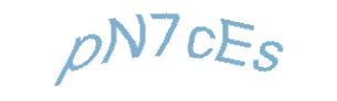 عبارت امنیتی