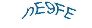 عبارت امنیتی