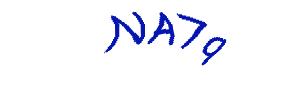 عبارت امنیتی
