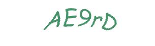 عبارت امنیتی