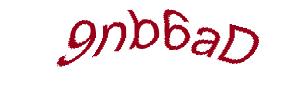 عبارت امنیتی