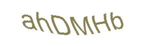 عبارت امنیتی