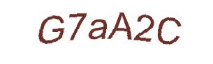 عبارت امنیتی