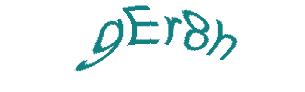 عبارت امنیتی