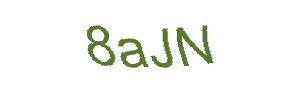 عبارت امنیتی