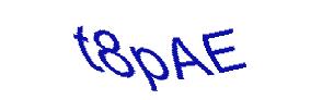 عبارت امنیتی