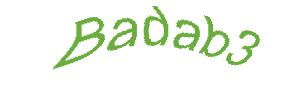 عبارت امنیتی