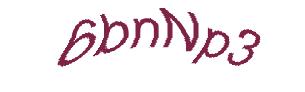 عبارت امنیتی