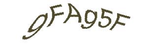 عبارت امنیتی