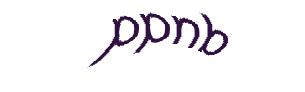عبارت امنیتی